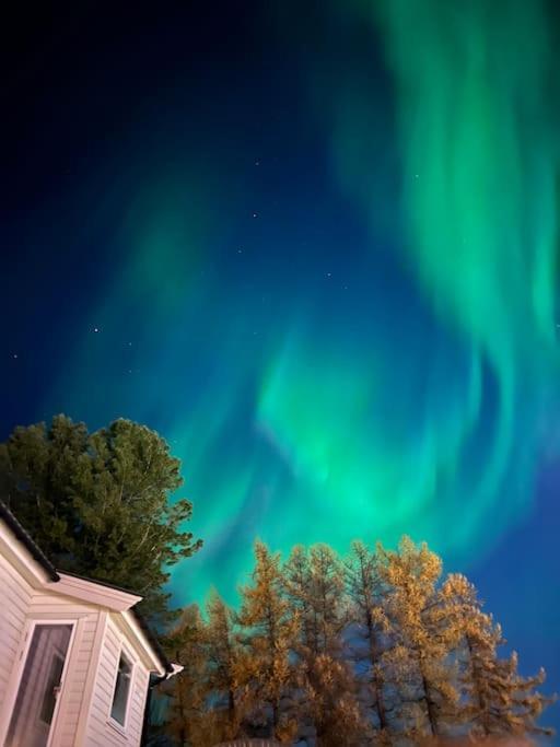 My Sweet Home Fauske Exterior photo